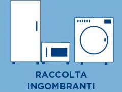 Raccolta rifiuti ingombranti